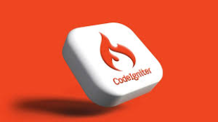 CodeIgniter Solutions