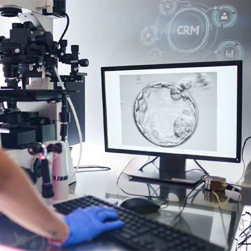 healthcare seo agency