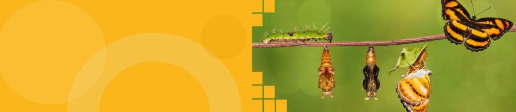 Work Process Banner