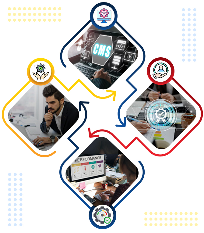 Comprehensive CMS Services Provided